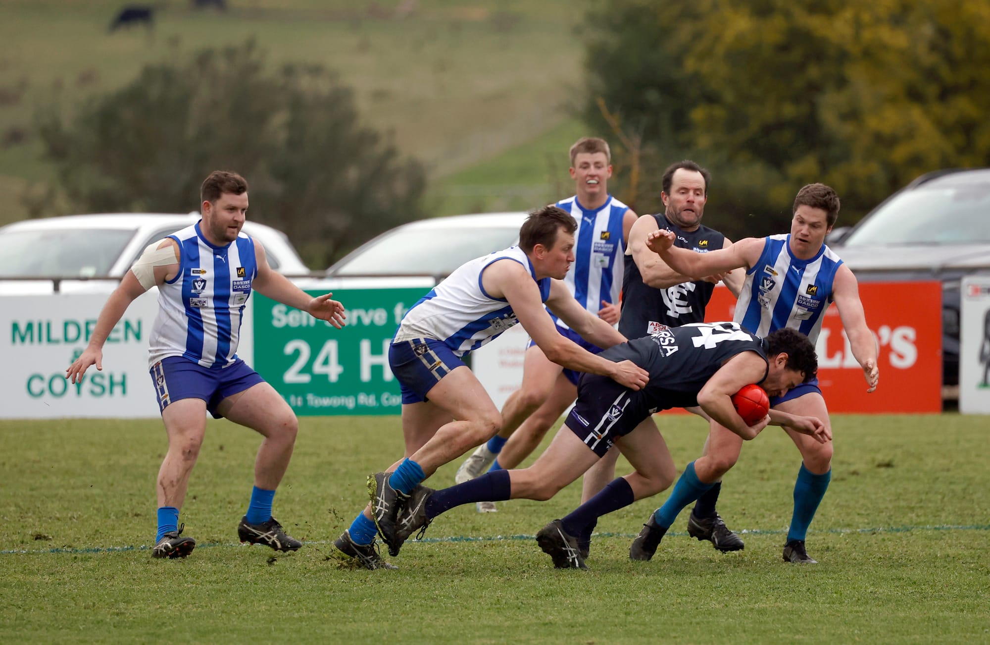 Blues canter into the decider