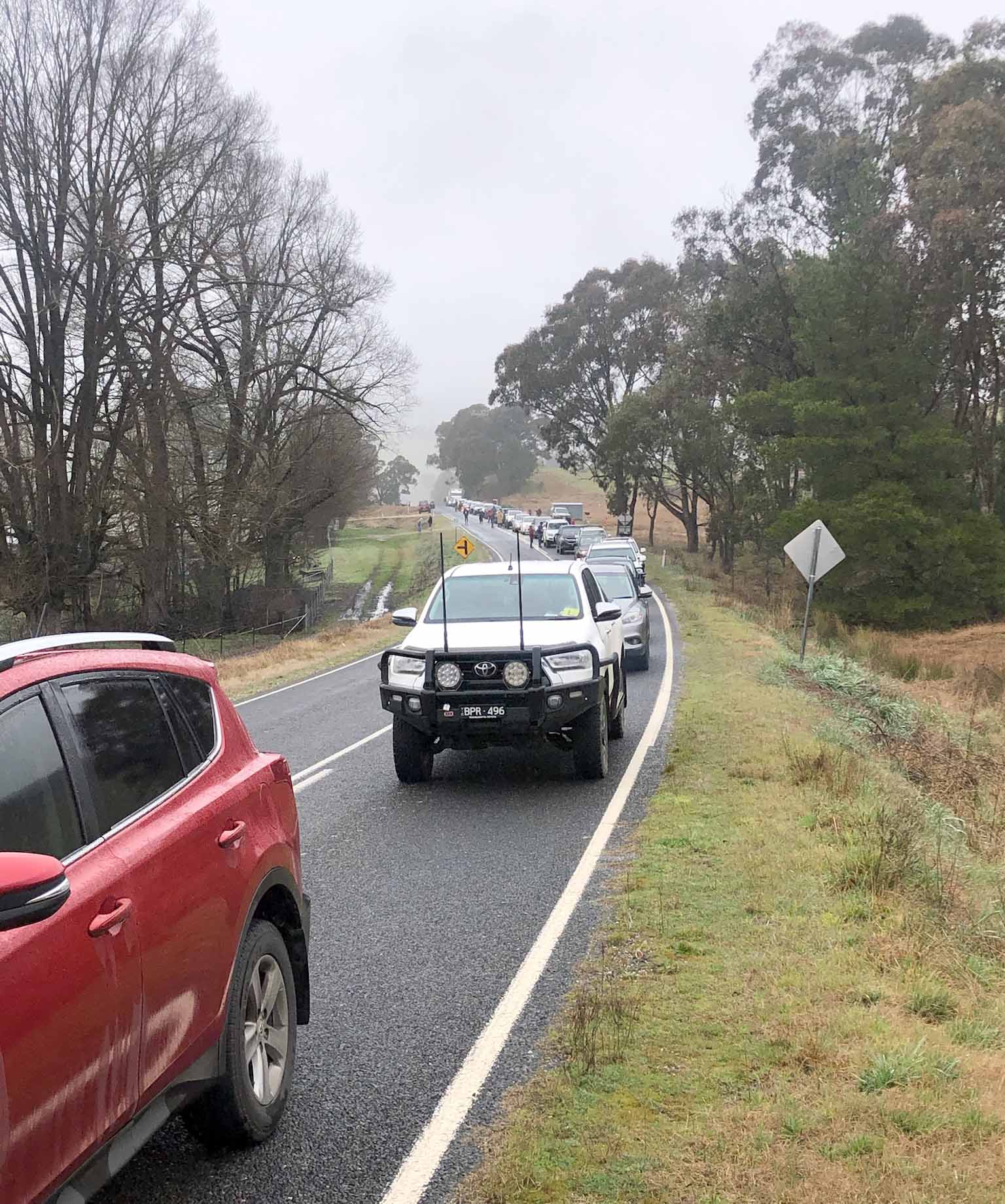 Tree fall delays finals start