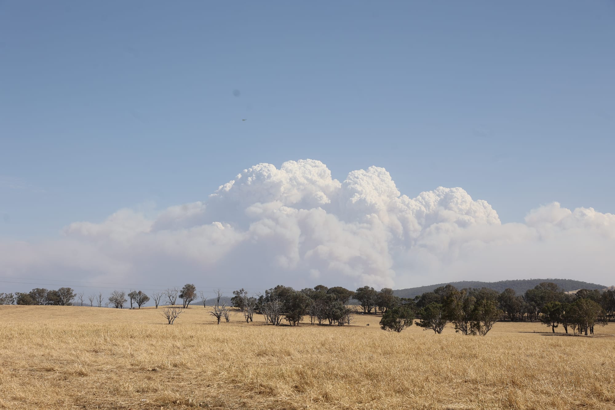 Thursday January 29, 2026