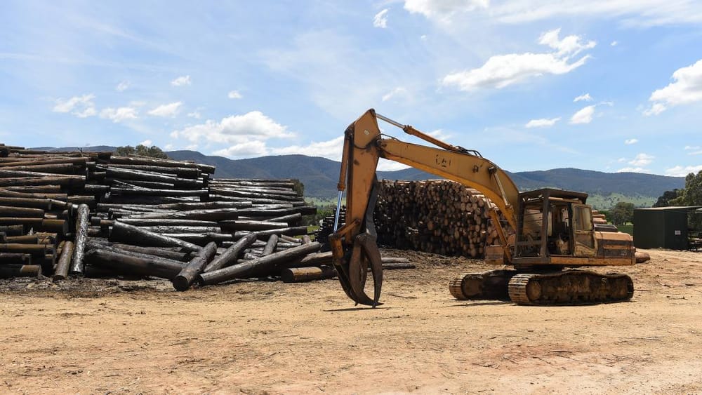CORRYONG MILL MAY CLOSE post image