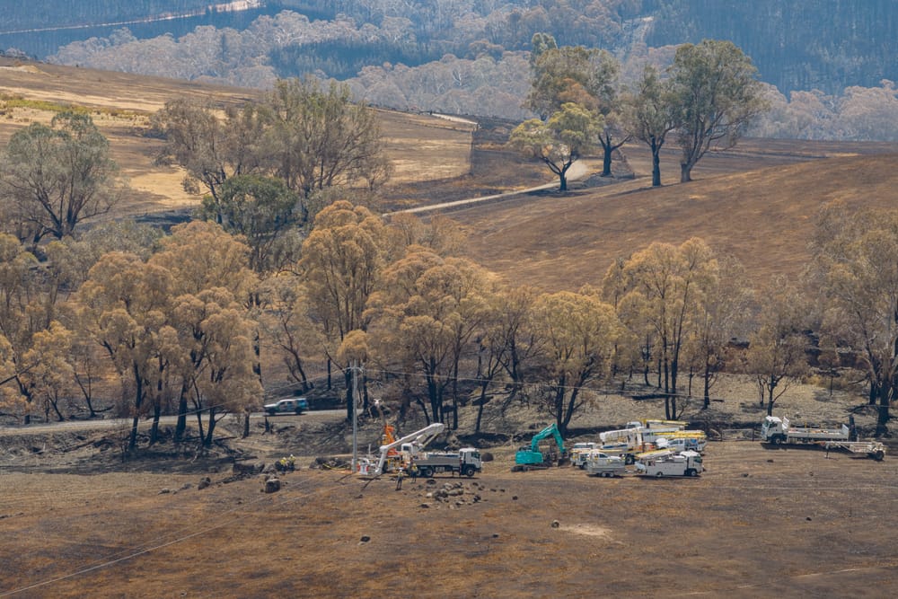 Thursday January 22, 2026 post image