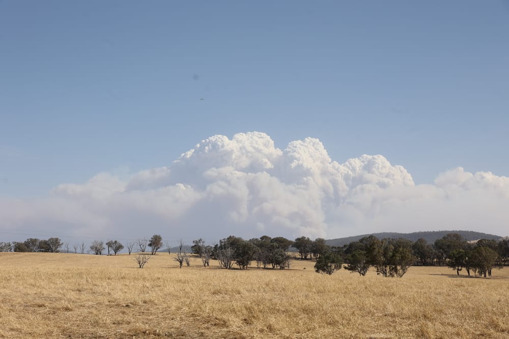 Thursday January 29, 2026 post image