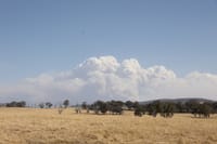 Thursday January 29, 2026 post image