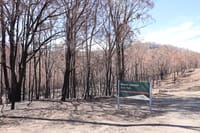 Thursday February 5, 2026 post image