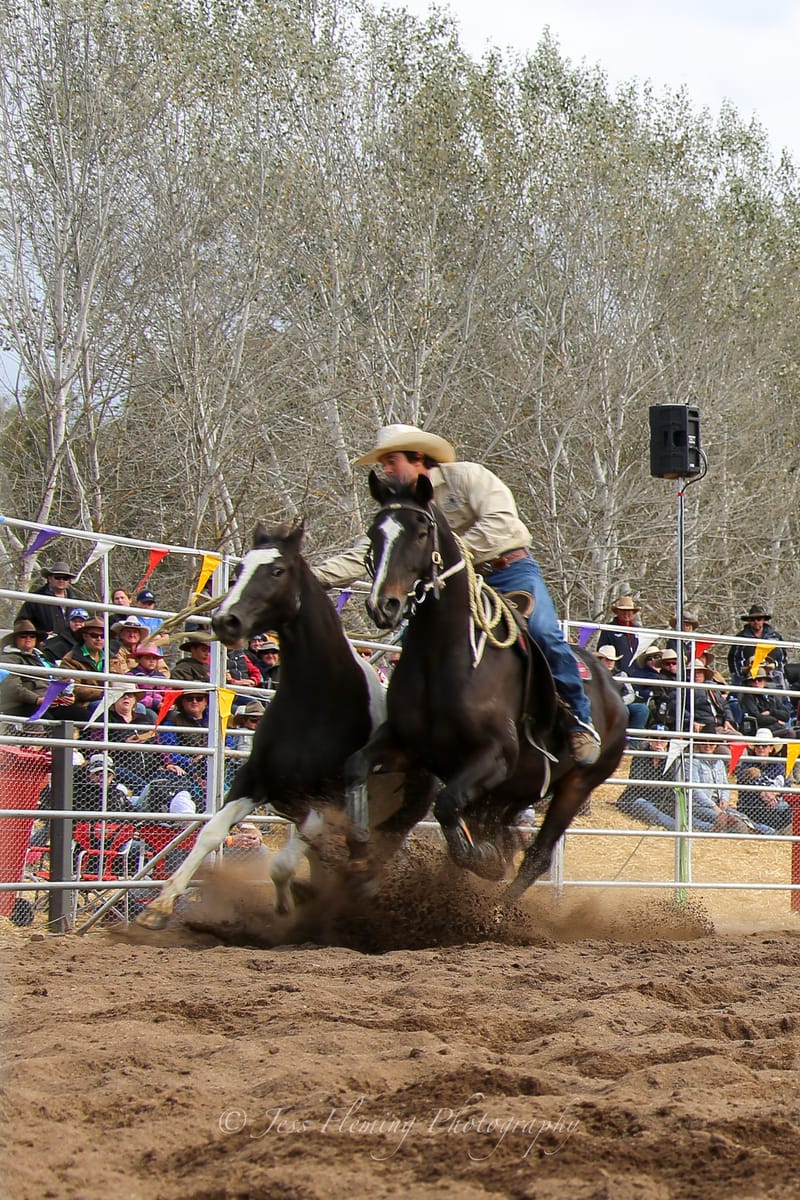 MFSRBF Feature - 2022 post image