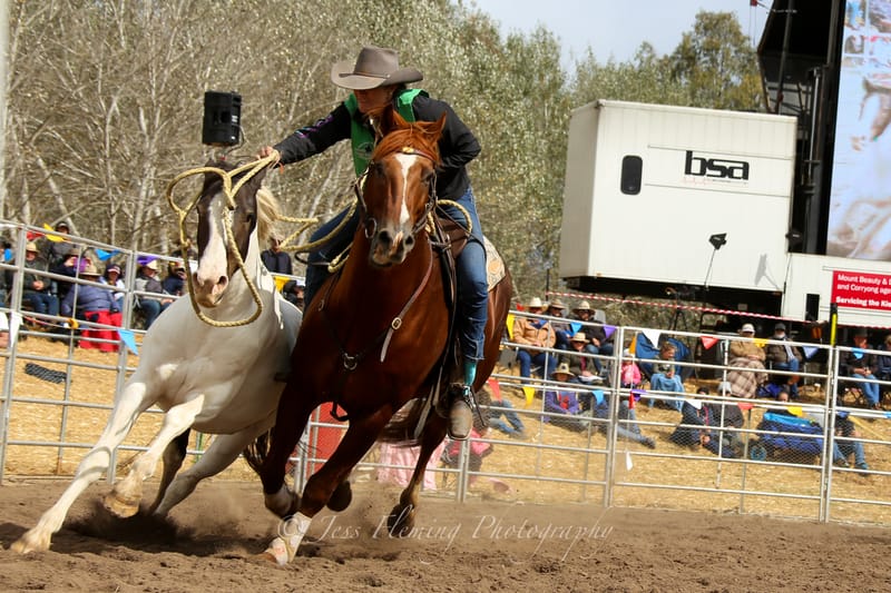 Thursday February 17, 2022 post image