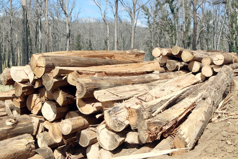 Thursday May 25, 2023 post image