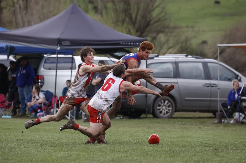 Bulldogs progress in finals campaign post image