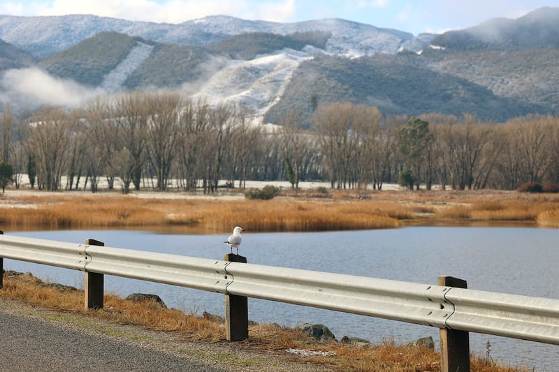 Thursday June 17, 2021 post image