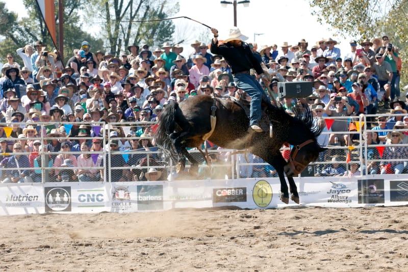 Thursday September 12, 2024 post image