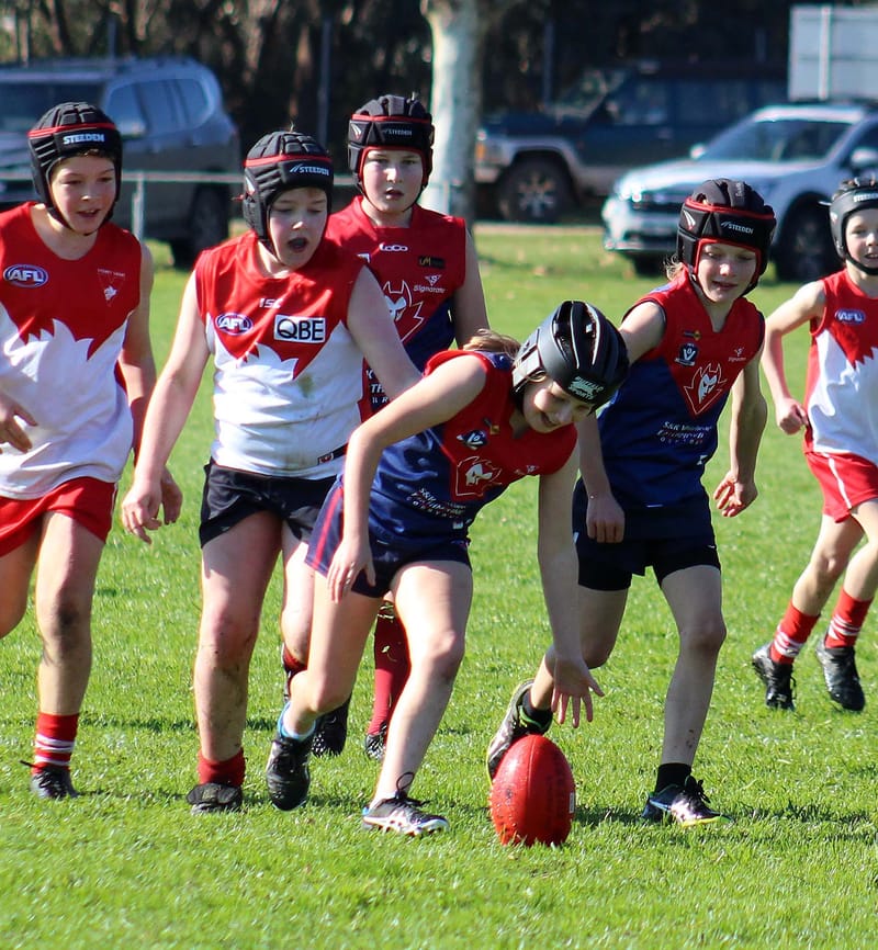 Football star calls for common sense to prevail post image