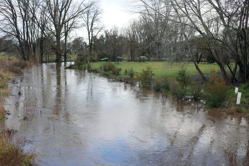 Thursday July 22, 2021 post image