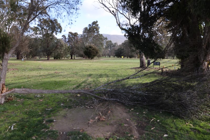 Thursday September 5, 2024 post image