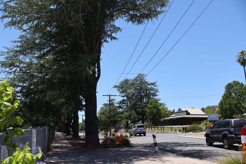 Thursday December 19, 2024 post image