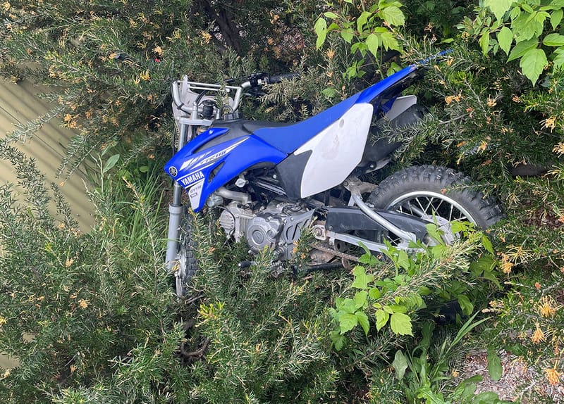 Thursday November 11, 2021 post image