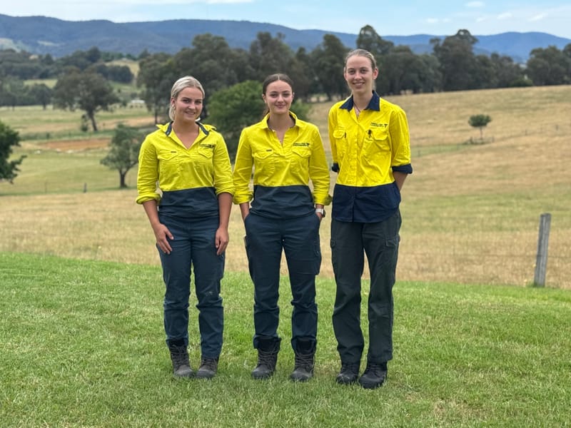 Thursday November 28, 2024 post image