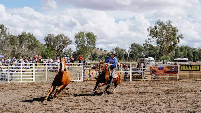 Thursday April 14, 2022 post image