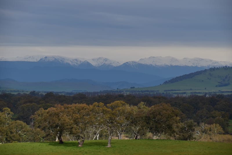 Upper Murray Holiday Guide 2021 post image