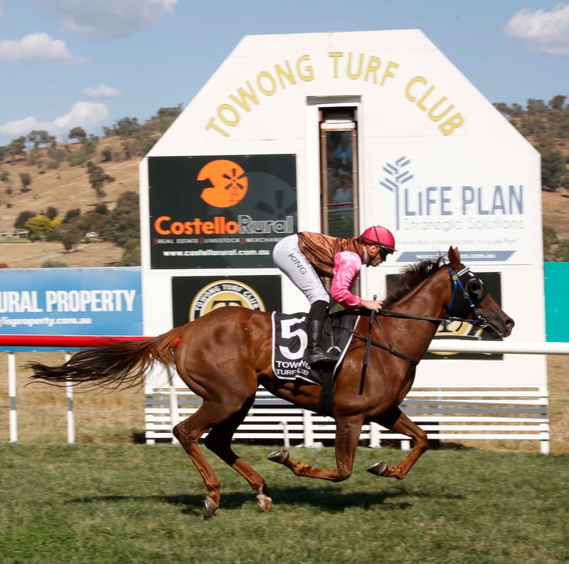 Thursday March 6, 2025 post image