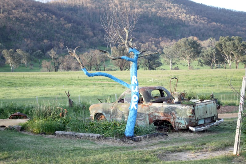 Thursday October 29, 2020 post image