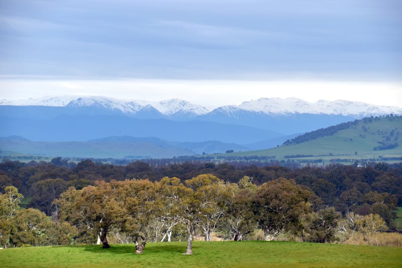 Upper Murray Holiday Guide 2022/23 post image