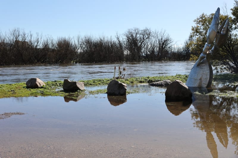 Thursday August 11, 2022 post image