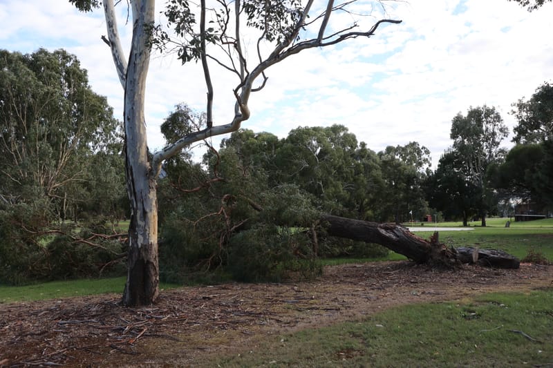 Thursday March 10, 2022 post image