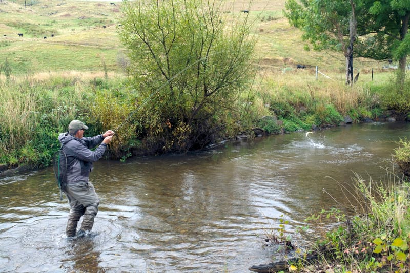 Thursday June 16, 2022 post image