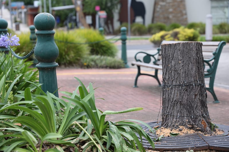 Thursday January 18, 2024 post image