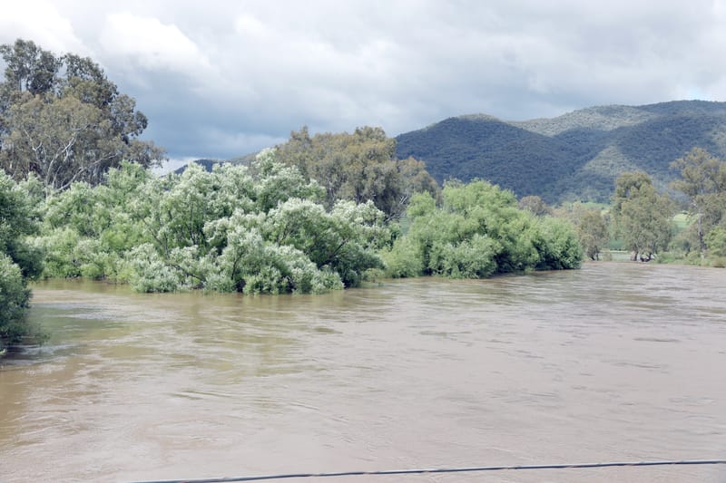 Thursday November 17, 2022 post image