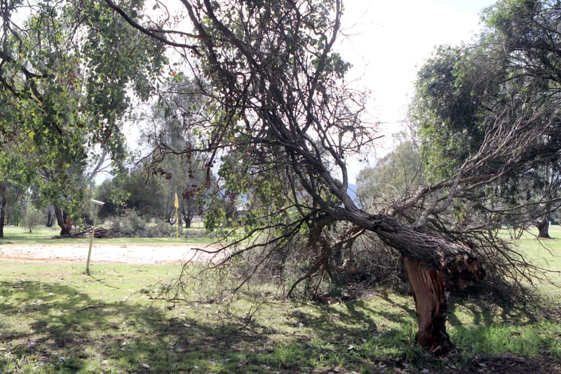 Thursday September 24, 2020 post image