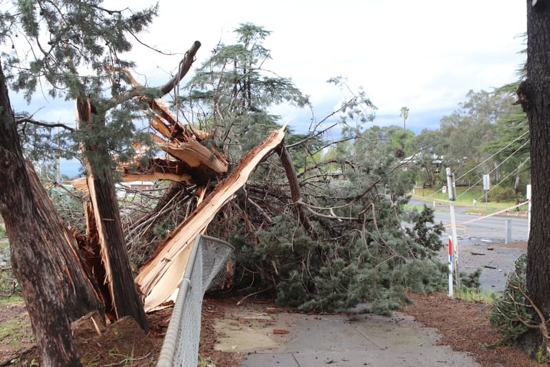 Violent squalls wreak havoc across the Upper Murray post image