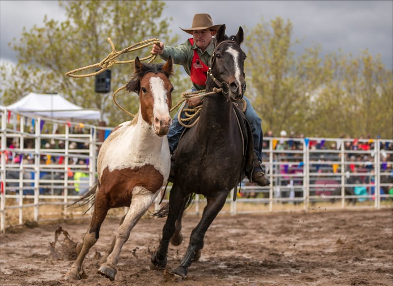 2023 Holiday Guide post image