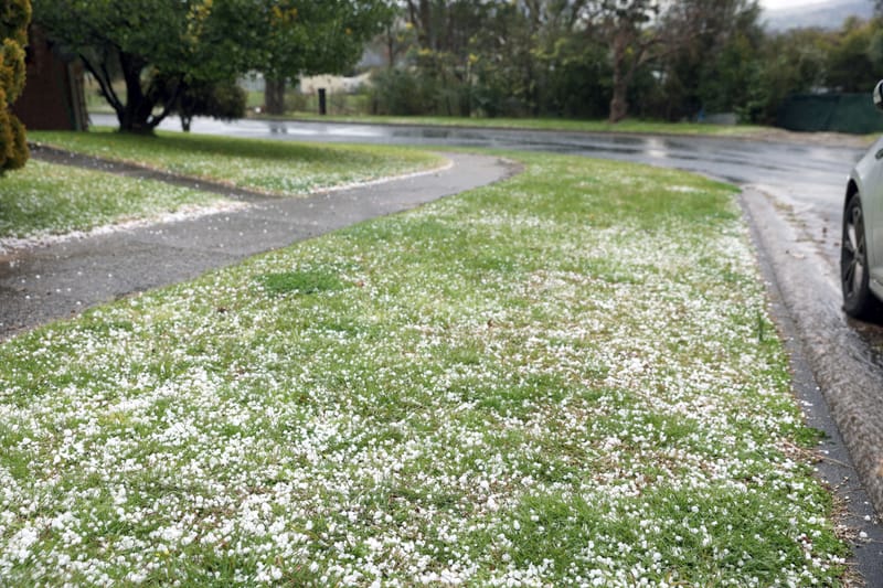 Thursday August 24, 2023 post image