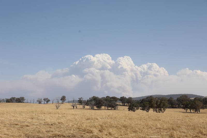 Thursday January 29, 2026 post image