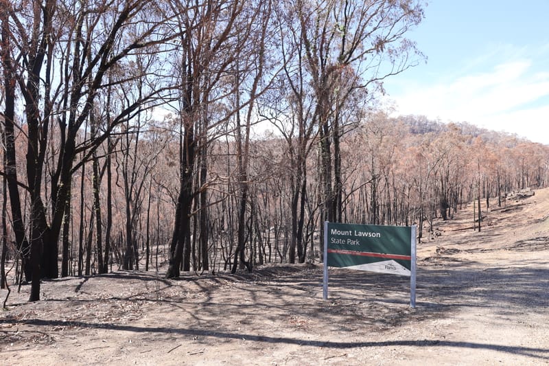 Thursday February 5, 2026 post image