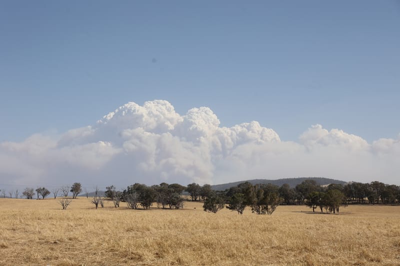 Thursday February 12, 2026 post image